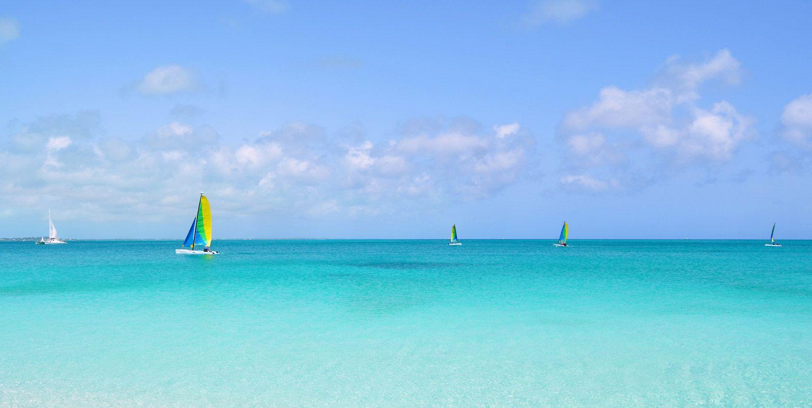 Sailboats in the sea
