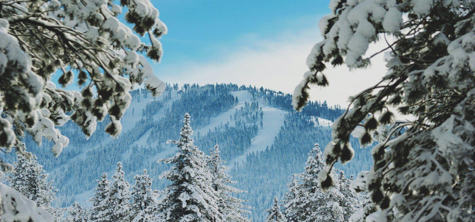 Truckee cabin rentals and vacation rentals, North Lake Tahoe, Top Villas