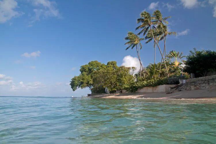 White sand beach and palm trees at Gibbes Beach