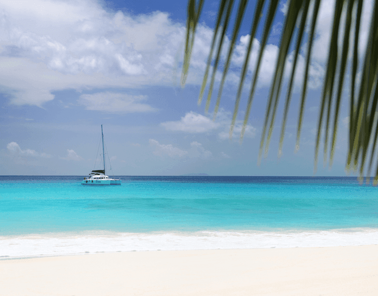 When to visit Gustavia white sand beach