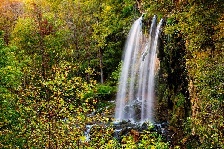 A waterfall in the forest near Hot Springs