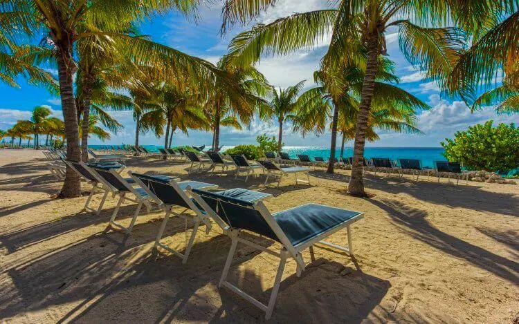 Sun loungers on a golden sand beach with palm trees