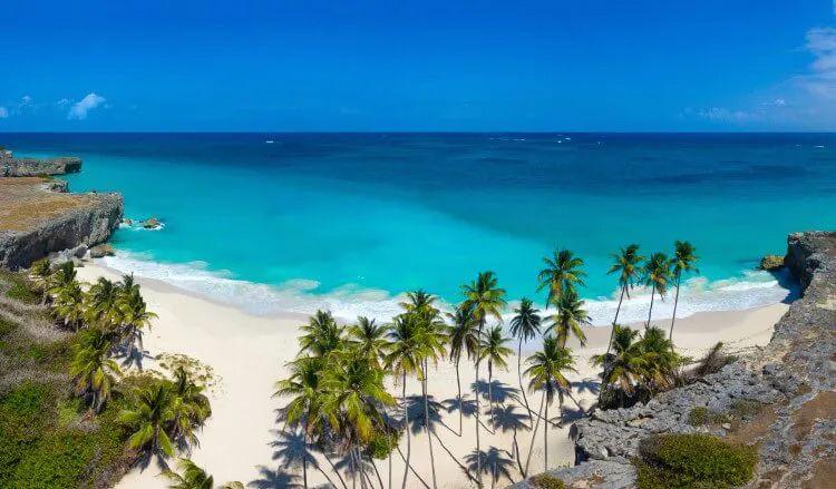 White sand beach with palm trees and sea cliffs forming a cove
