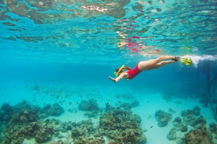 A woman in a red bathing suit dives beneath the water above a reef