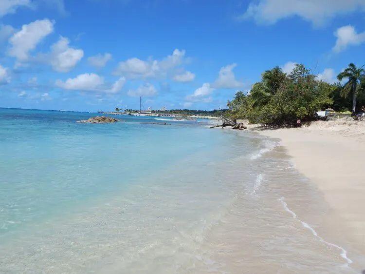 White sand beach with palm trees