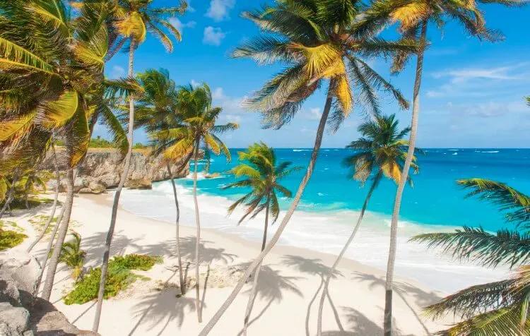 White sand beach with palm trees in Sugar Hill, Caribbean villa resorts