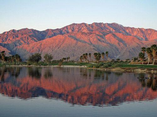Palm Springs landscape