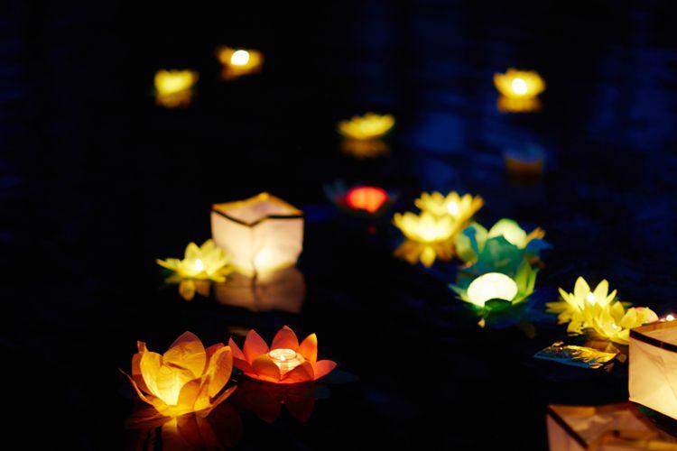 Glowing lights and lanterns floating on dark still water