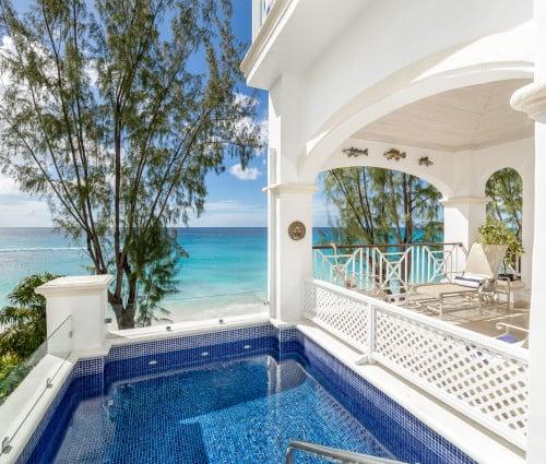 Hallidays at Old Trees