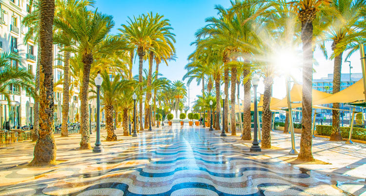 Palm lined street in Malaga in the Costa Blanca - The best places to visit in June