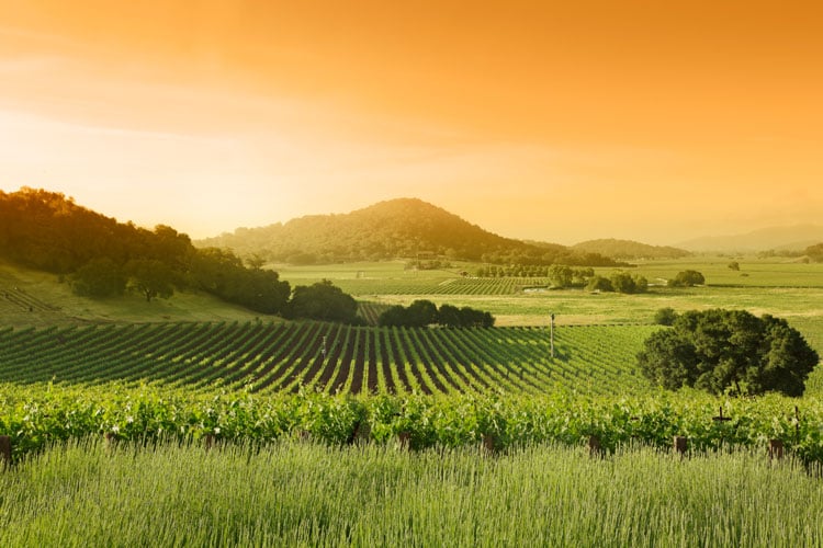 The best places to visit in September - sunset over Napa Valley in California