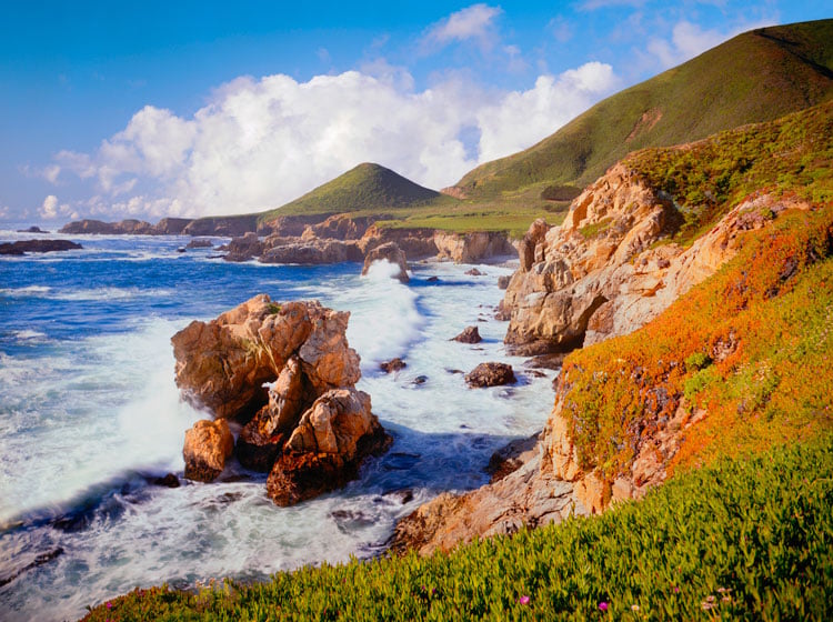 View of coastline along the Pacific Northwest of the USA - Best places to visit in January